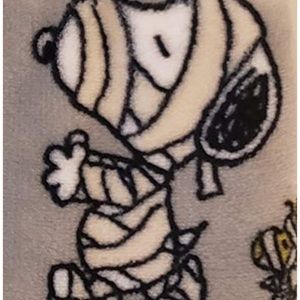 berkshire Bedding - Peanuts Velvetsoft Throw blanket berkshire Bedding - Peanuts Velvetsoft Throw blanket